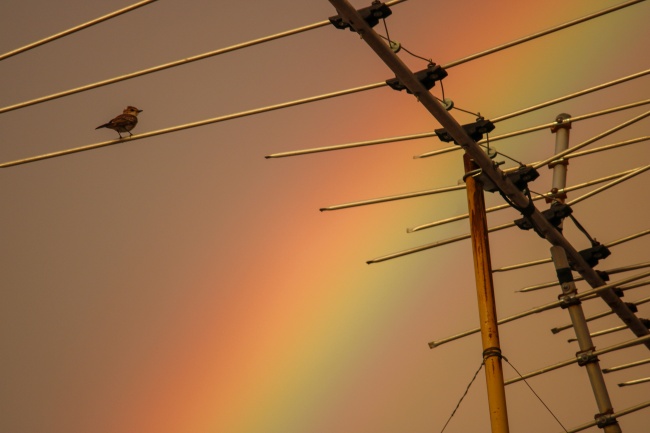 foto:Claudia Aída Gloria Picazzo  - lo hecho en México