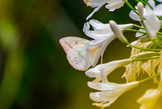 foto:Carlos González Sifuentes  - lo hecho en México