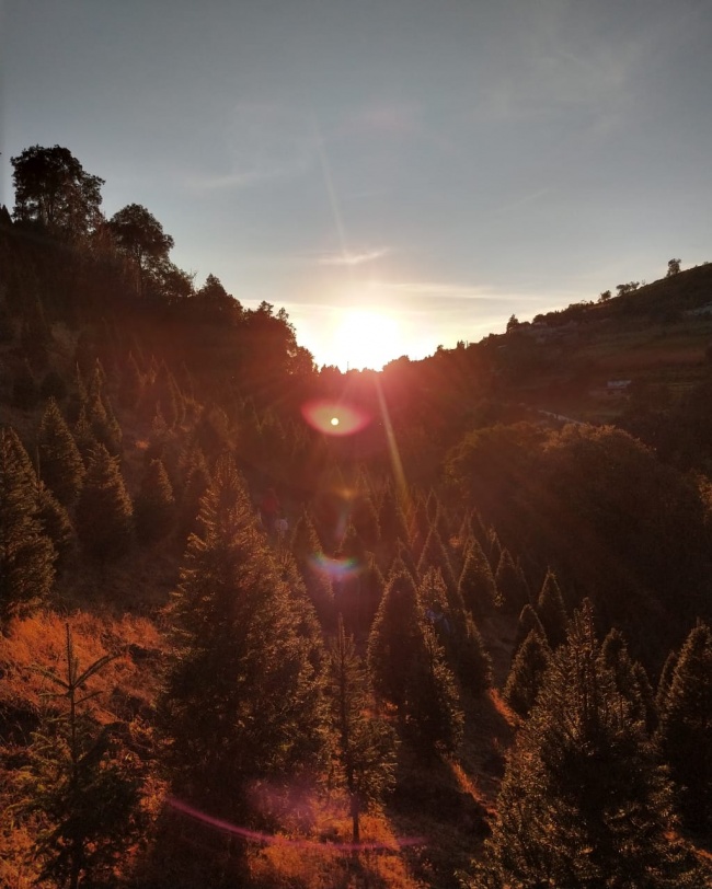 foto:Elizabeth Almeida Silva  - lo hecho en México