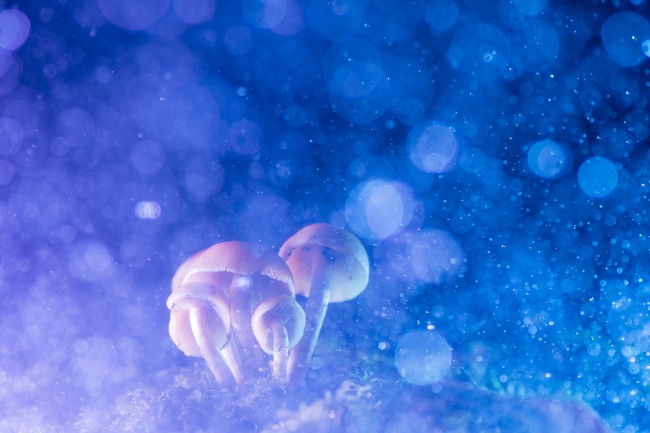 foto:Jorge Alexis Figueroa Hernandez  - lo hecho en México