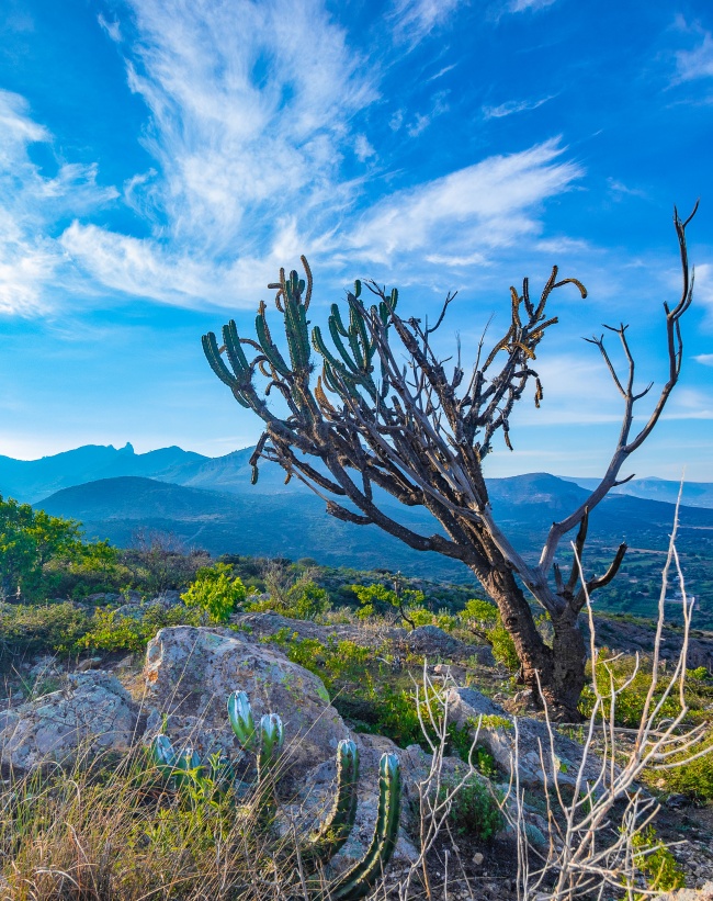 foto:Marlen Hernández García  - lo hecho en México