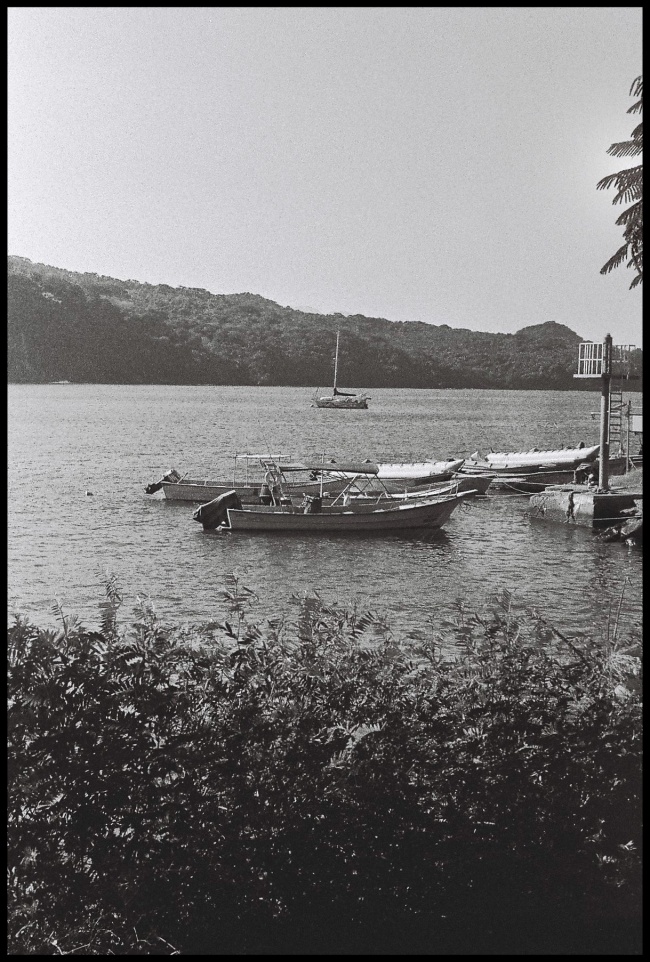 foto:José Leonardo Aceves Gonzalez   - lo hecho en México