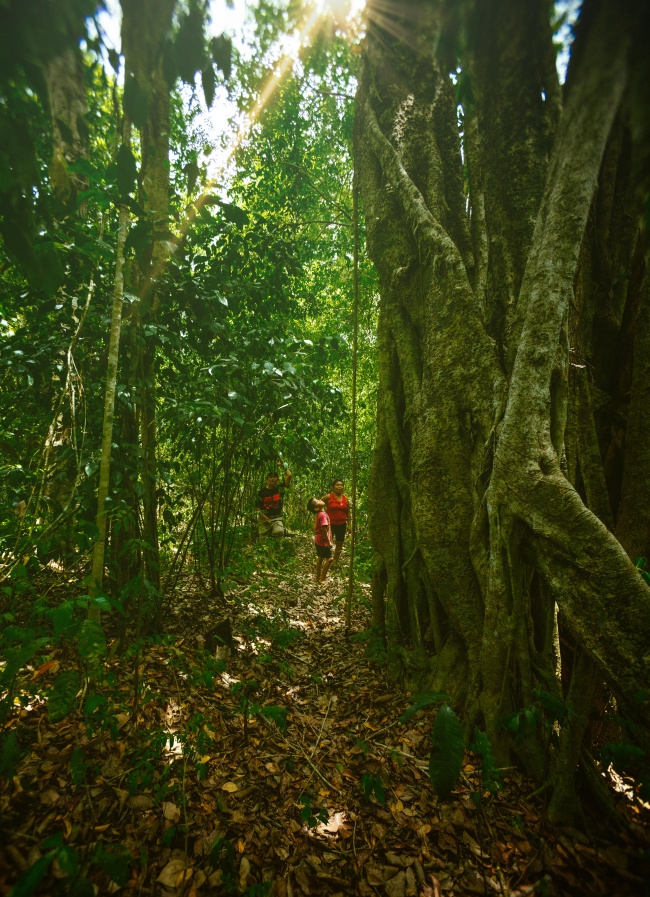 foto:Juan Manuel Martínez Limón   - lo hecho en México
