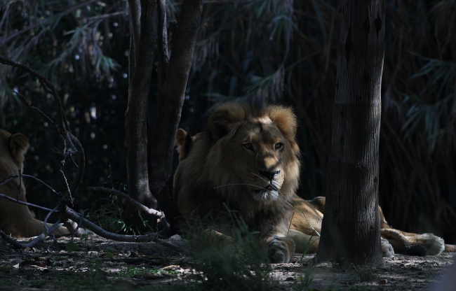 foto:Diego Abraham Vázquez Hernandez  - lo hecho en México