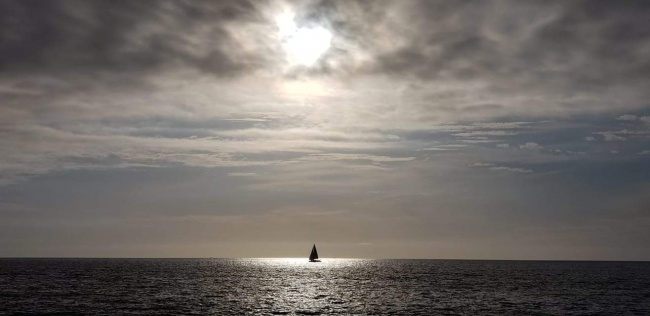 foto:María Guadalupe García Langarica   - lo hecho en México