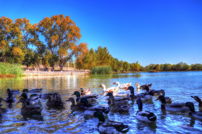 foto:RAQUEL MORENO RESÉNDEZ  - lo hecho en México