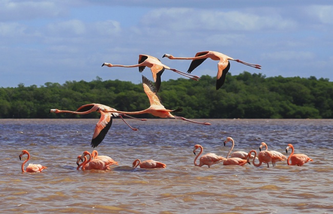 foto:Josué Daniel Márquez González  - lo hecho en México