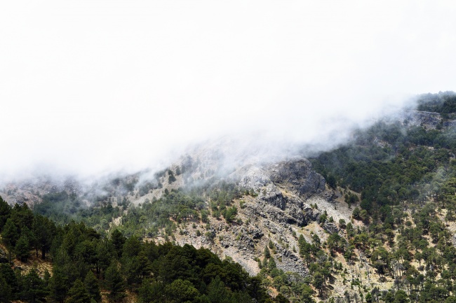 foto:Sandra Irene Prieto González  - lo hecho en México