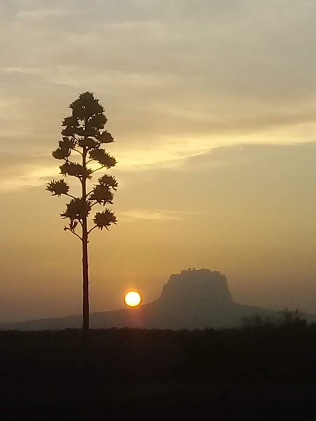 foto:Benita Guadalupe Gámez Ricardi  - lo hecho en México