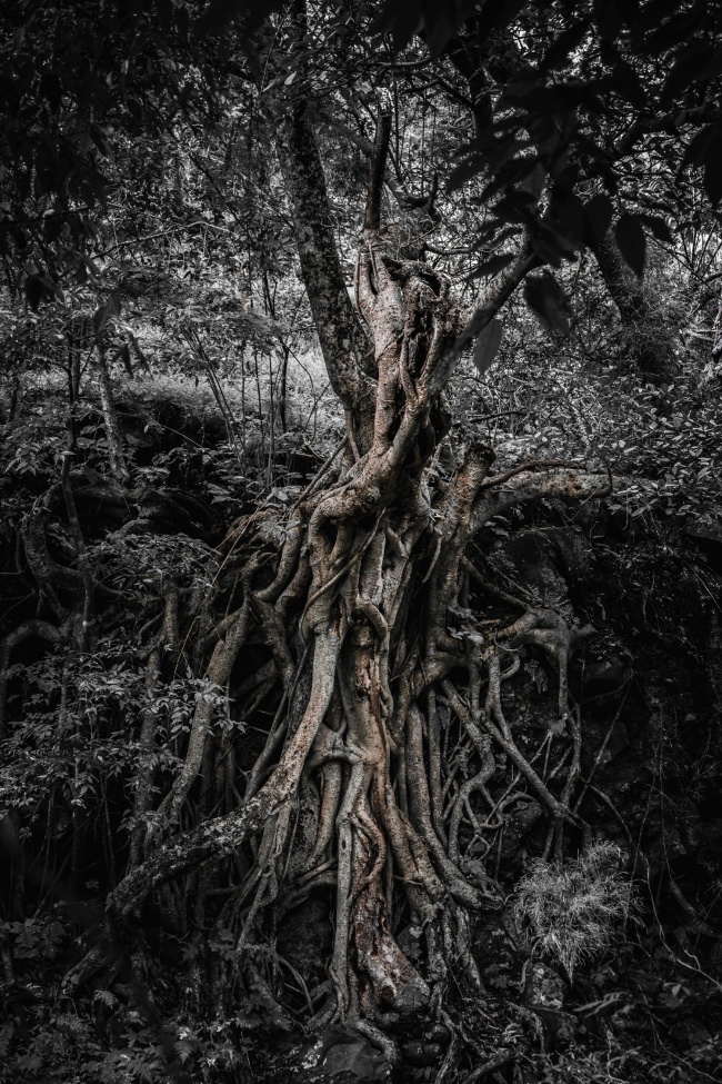 foto:Adrián Alejandro García Aviña  - lo hecho en México