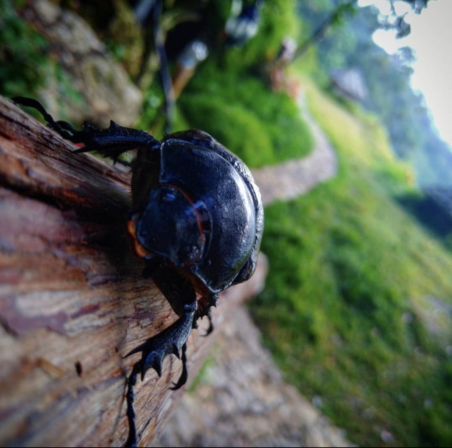 foto:David Orduña   - lo hecho en México