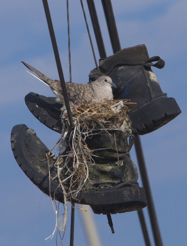 foto:Adrián Hernández G.  - lo hecho en México
