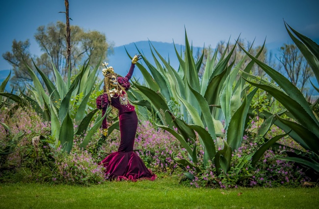 foto:Eduardo Bernal Villanueva  - lo hecho en México
