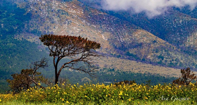 foto:Ana Mercedes Guzmán Casas  - lo hecho en México
