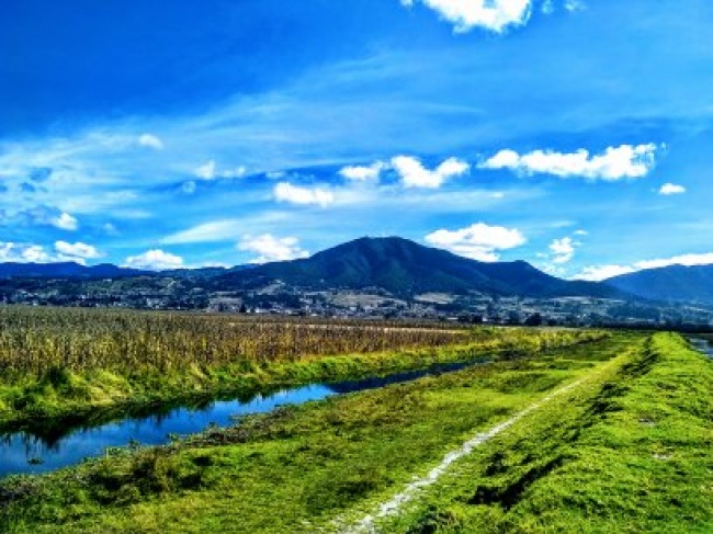 foto:Gustavo Evangelista Ramos  - lo hecho en México