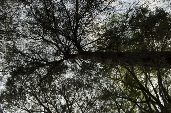 foto:Guadalupe Colín Castillo  - lo hecho en México