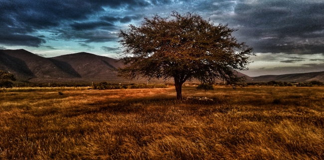 foto:Felipe fredy Atlamaic Quisehuatl   - lo hecho en México