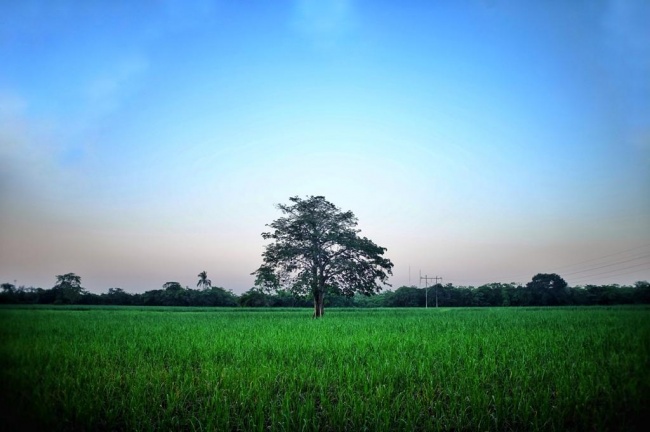 foto:Miguel Angel Irisson Arcos   - lo hecho en México