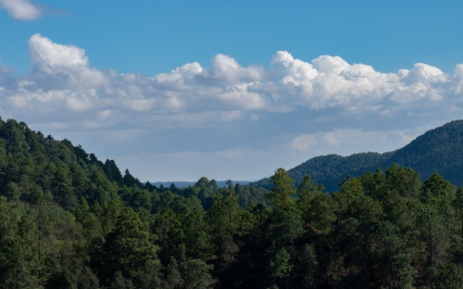 foto:jose francisco nolasco ordaz   - lo hecho en México