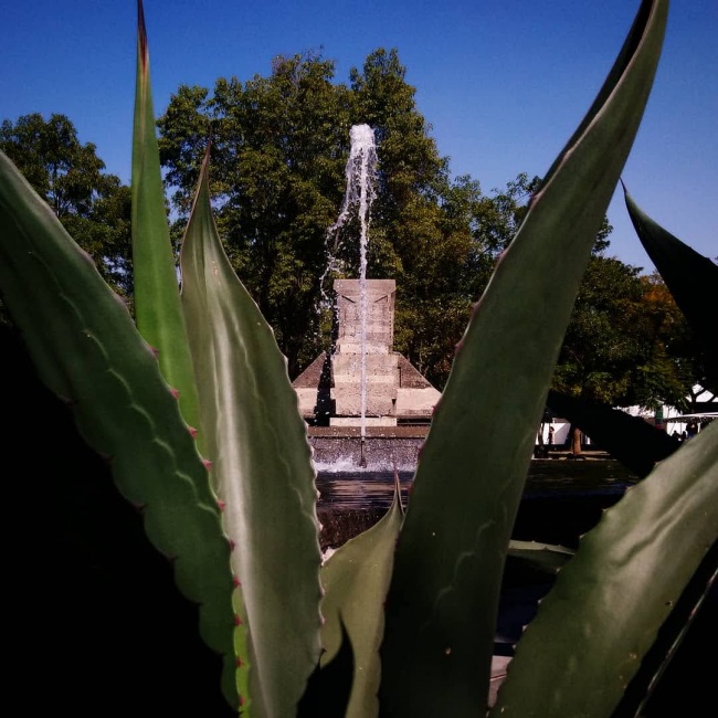 foto:José Carlos Arreola Reynoso  - lo hecho en México