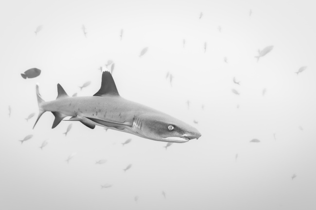 foto:Costa, Gustavo Martín  - lo hecho en México