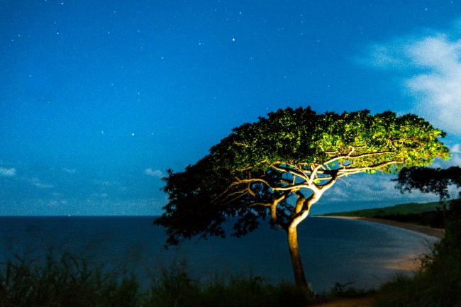 foto:David Alejandro Zarate Santana  - lo hecho en México