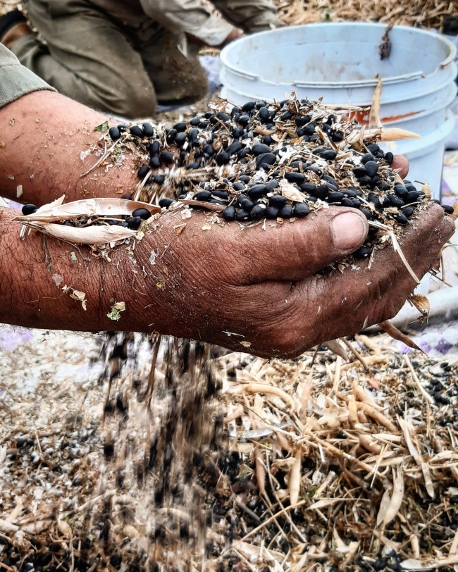 foto:Jaqueline Lagunes Rodríguez   - lo hecho en México