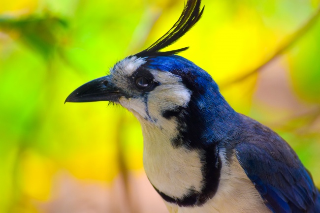 foto:Martha Patricia Luna González   - lo hecho en México