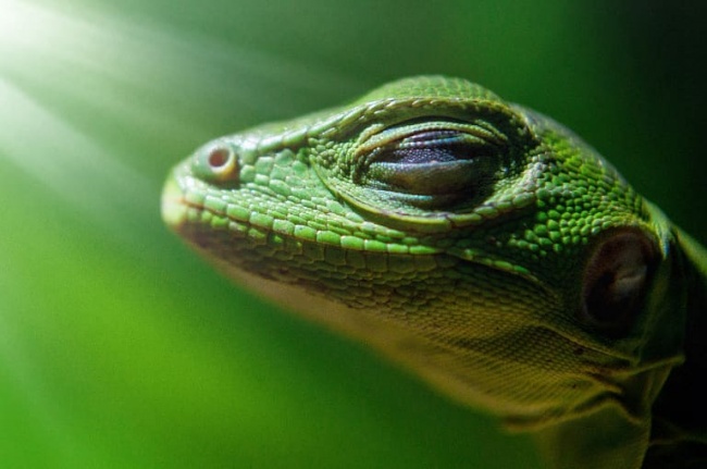 foto:Carlos Alberto Urbina Marban  - lo hecho en México