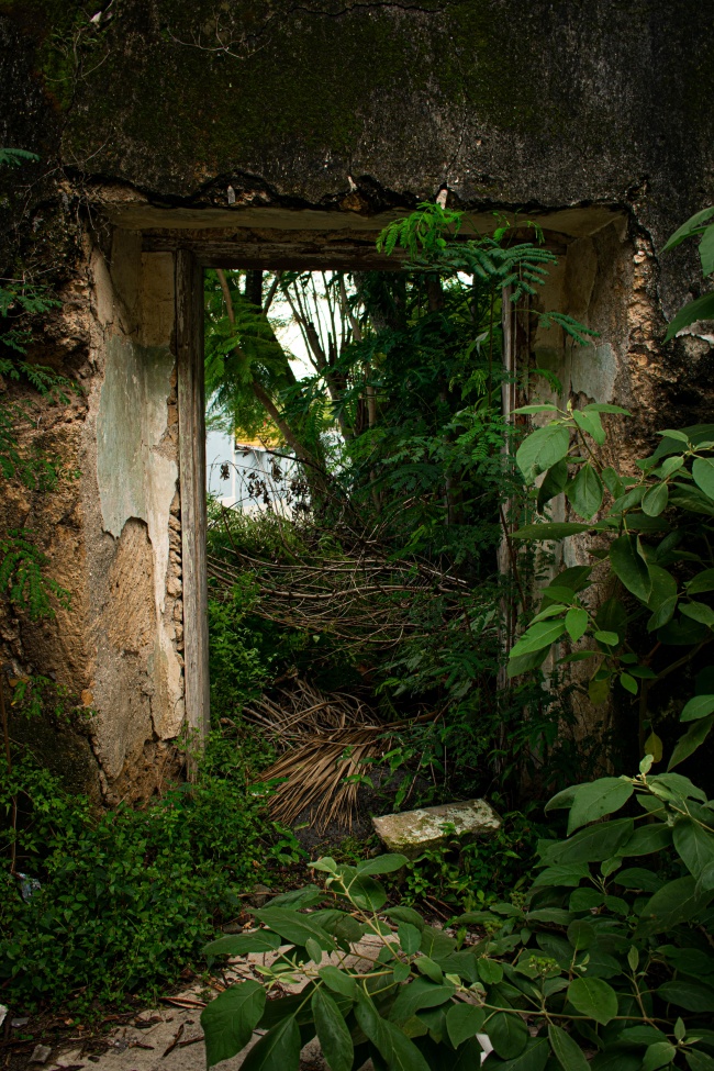 foto:Diana Patricia Caballero González  - lo hecho en México