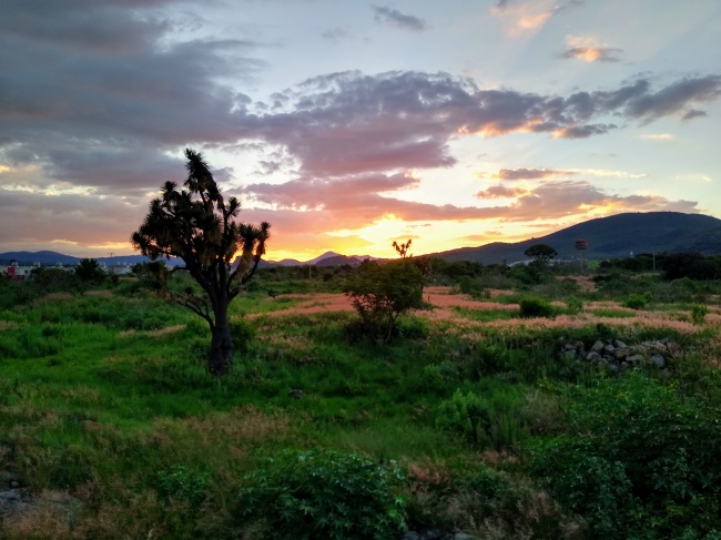 foto:Francisco Javier Lemus Yáñez  - lo hecho en México