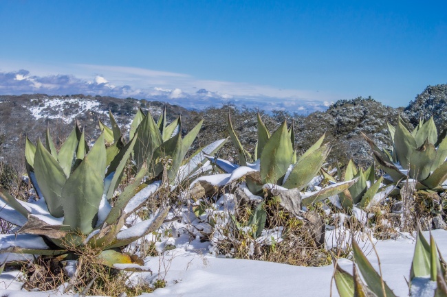 foto:Francisco Torres Padron  - lo hecho en México