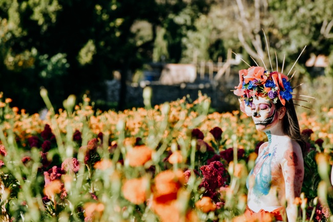 foto:Elizabeth del Carmen Amarillas Camarillo  - lo hecho en México