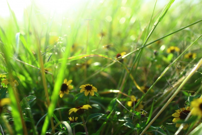 foto:Rodrigo Cid Corona  - lo hecho en México