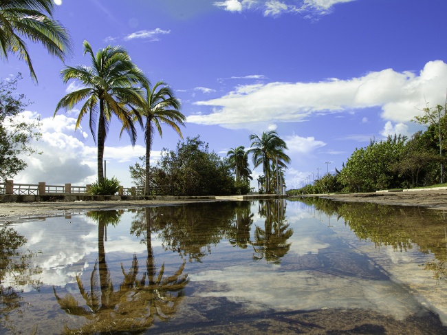 foto:Valentín Alberto García Hernández  - lo hecho en México