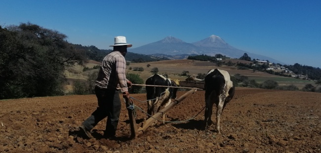 foto:José Luna Méndez   - lo hecho en México