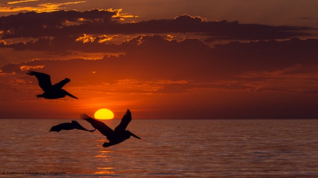 foto:Federico Velazquez Raya  - lo hecho en México