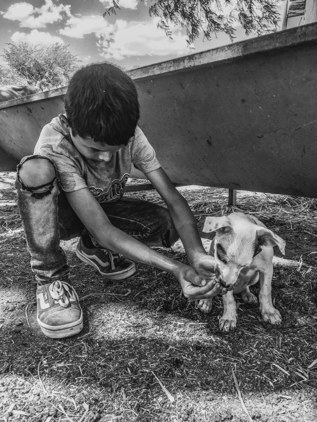 foto:Del real Rodriguez   - lo hecho en México