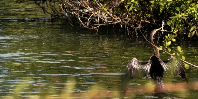 foto:Rodrigo Arturo Canalizo Madero  - lo hecho en México