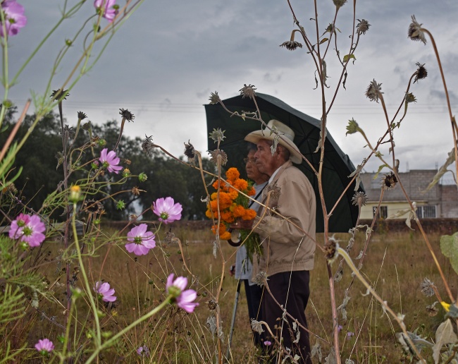 foto:JOSUE SAMUEL CERON RAMOS  - lo hecho en México