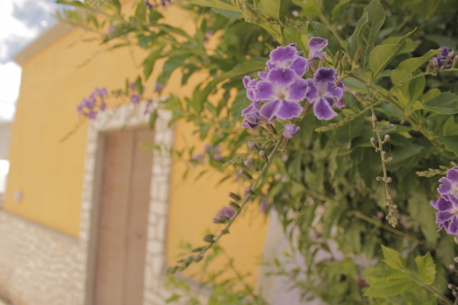 foto:LETICIA MAGAÑA OLIVARES  - lo hecho en México