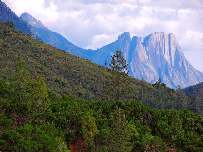 foto:Juan Antonio Casas Ibarra  - lo hecho en México