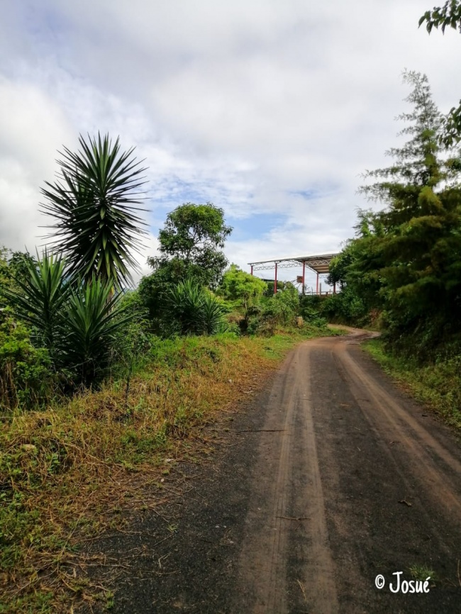 foto:JOSUE SALOMON ROBLERO GONZALEZ  - lo hecho en México