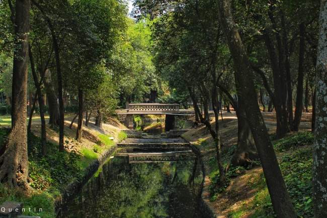 foto:Quintin Paz Reyes  - lo hecho en México