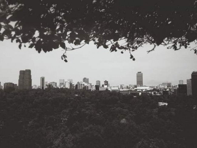 foto:Jonathan Martínez Fuentes  - lo hecho en México