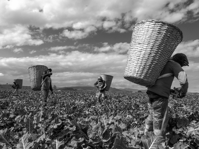 foto:Roberto Marcelo Bernal Salgado  - lo hecho en México