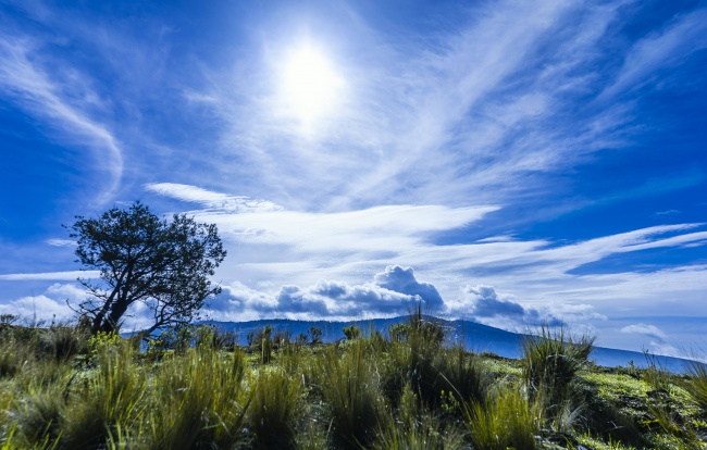 foto:José Manuel Nava  - lo hecho en México