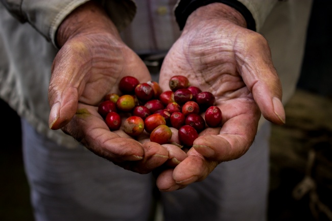 foto:Eduardo Alemán  - lo hecho en México
