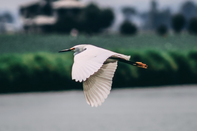 foto:Carlos Sebastian Villagran Bastida  - lo hecho en México