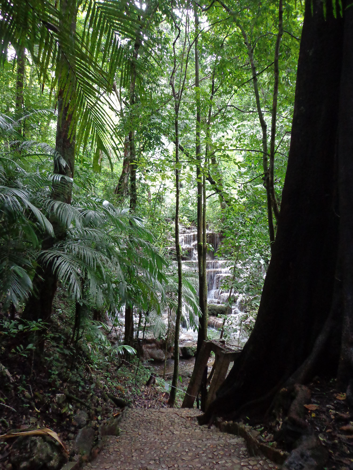 foto:Victor Abraham Ramirez Sarabia  - lo hecho en México